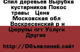 Спил деревьев.Вырубка кустарников.Покос травы › Цена ­ 300 - Московская обл., Воскресенский р-н, Цюрупы пгт Услуги » Другие   